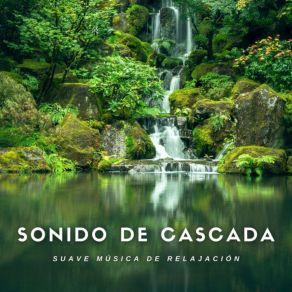 Download track Bajo La Cascada Relajantes Sonidos De Lluvia