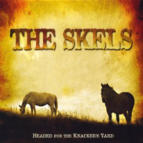 Download track When The Green Shores Call Me Home The Skels