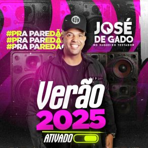 Download track Piseiro Hawaiano José De Gado O Vaqueiro Testado