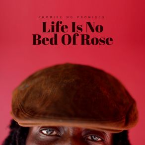 Download track Life Is No Bed Of Rose Promise No Promises