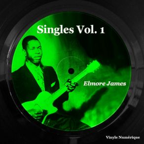 Download track Country Boogie Elmore James