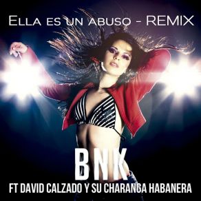 Download track Ella Es Un Abuso (Remix) [David Calzado Y Su Charanga Habanera] BNK