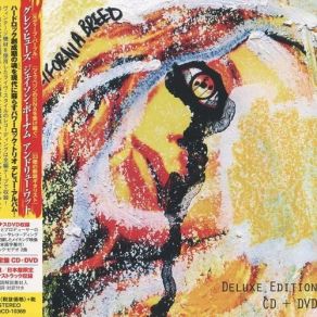 Download track Midnight Oil California Breed