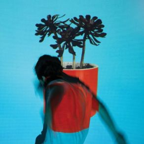 Download track Sea Of Years Local Natives