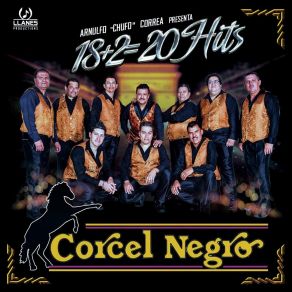 Download track La Razón Es Que Te Quiero Corcel Negro