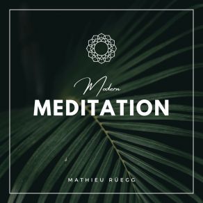 Download track Meditation Technique Mathieu Rüegg