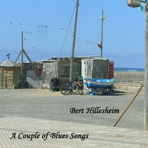 Download track What Can I Do? Bert Hillesheim