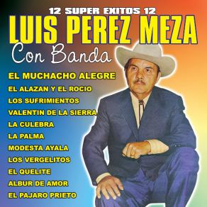 Download track Modesta Ayala Luis Perez Meza