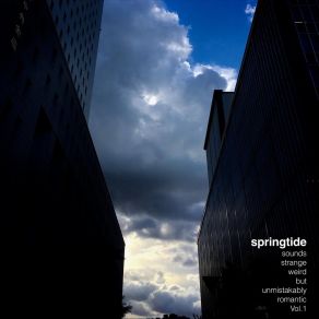 Download track Outsider's Paradox Springtide