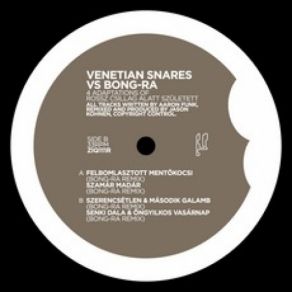 Download track Szerencsétlen & Második Galamb (Bong-Ra Remix) Venetian Snares