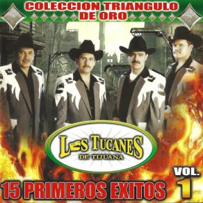 Download track Las Maquiladoras Los Tucanes De Tijuana