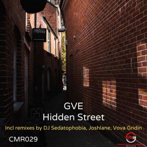 Download track Hidden Street (Joshlane Remix) GveJoshlane