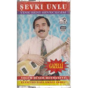 Download track Karar Verdim Şevki Ünlü