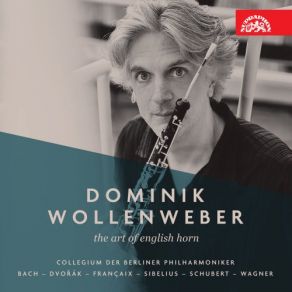 Download track 4 Impromptus, Op. 90: No. 3 In G-Flat Major, Andante Dominik Wollenweber