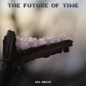 Download track Crimes Of Tomorrow Sea Brave