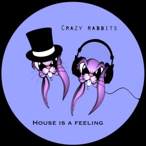 Download track House Is A Feeling Crazy Rabbits