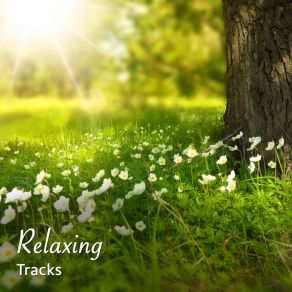 Download track Blissful Sunrise Namaste Yoga