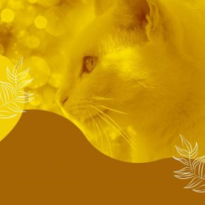 Download track Swanky Ambience For Comfy Cats Music For Cats Peace