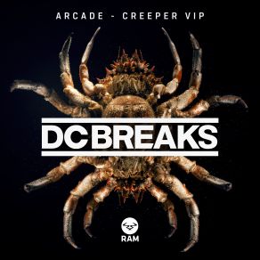 Download track Arcade (Original Mix) DC Breaks