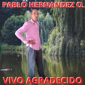 Download track Mírala Como Va PABLO HERNANDEZ O