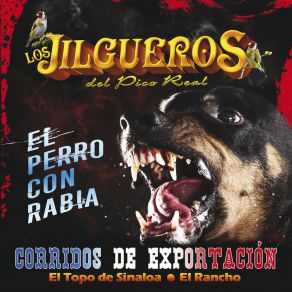 Download track El Rancho Los Jilgueros Del Pico Real