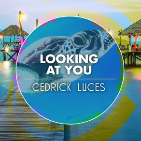 Download track Welcome To The Florida Keys Cedrick Luces