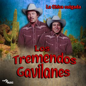 Download track Borradita Diente De ORO Los Tremendos Gavilanes