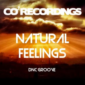 Download track Natural Feelings DNC Groove