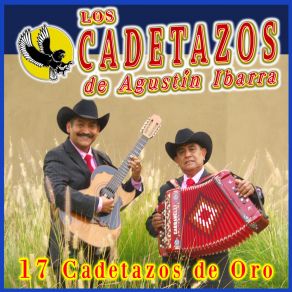 Download track Muñequita Encantadora Los Cadetazos De Agustín Ibarra