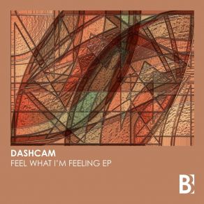 Download track Feel What I'm Feeling Dashcam