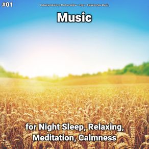 Download track Relaxation Music, Pt. 61 Relaxing Spa Music