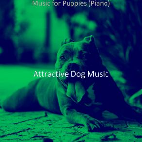 Download track Spectacular Backdrops For Cute Dogs Attractive Dog Music