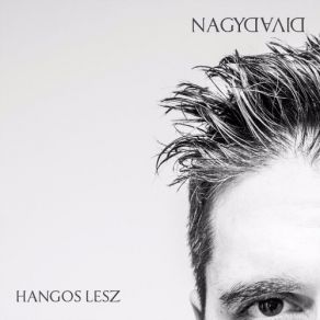 Download track Szelcsend David Nagy