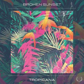 Download track Caribbean Beach Broken Sunset