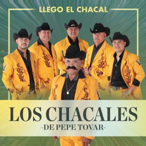 Download track Por El Cielo Volando Los Chacales De Pepe Tovar