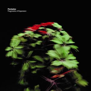 Download track Résonance Ii' Pentadox