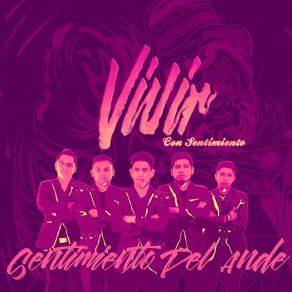 Download track Dicen Por Ahí Sentimiento Del Ande