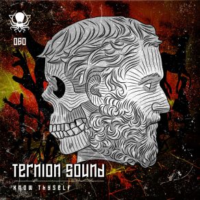 Download track Ah Fer Fuck (Original Mix) Ternion Sound