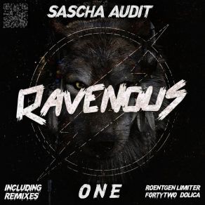 Download track One (Dolica Remix) Sascha Audit