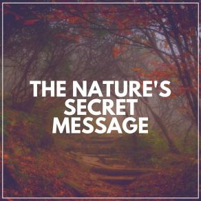 Download track The Nature Of Rain Sounds Life Sounds Nature