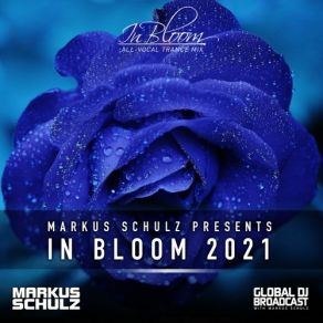 Download track Somebody Loves You (Paul Thomas Remix) Markus SchulzPlumb, Aly & Fila