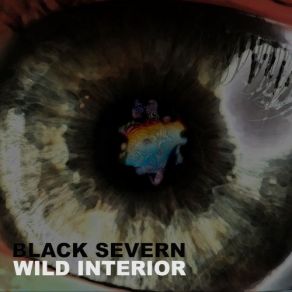 Download track Laust Black Severn