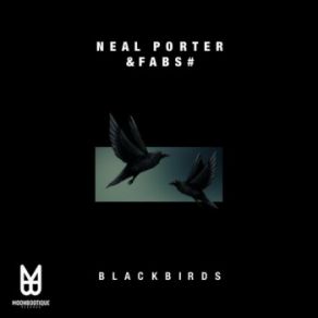 Download track Blackbirds (The Glitz Remix) Neal Porter, The Fabs