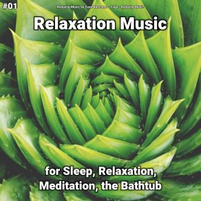 Download track Relaxation Music, Pt. 12 Relaxing Music