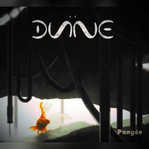 Download track Journée D'un Poisson Rouge Dune Quartet