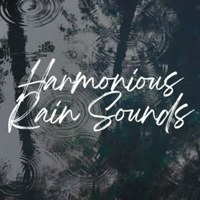 Download track Eminently Rain Rain Sounds For Sleep Aid