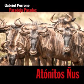 Download track La Cuestion Incremental Gabriel Perrone Paradoja Paradox