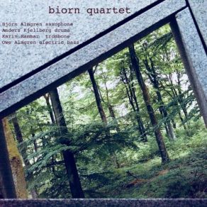 Download track Earthy Anders Kjellberg, Karin Hammar, Bjorn Almgren, Owe Almgren, Biorn Quartet