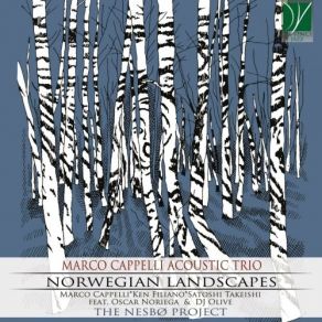 Download track Norwegian Landscapes # 6 DJ Olive, Marco Cappelli Acoustic Trio, Oscar Noriega, The NesbØ Project