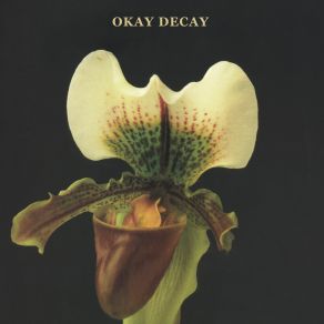 Download track Okay Decay Canshaker Pi